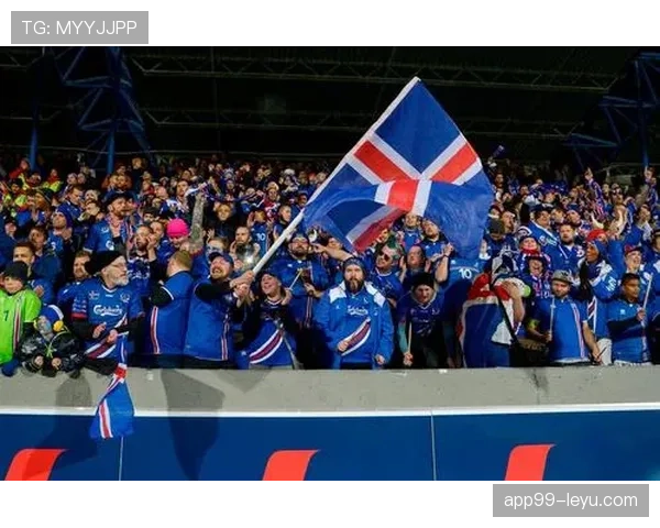 冰岛主帅哈格里姆松展望未来：球队重塑状态引关注