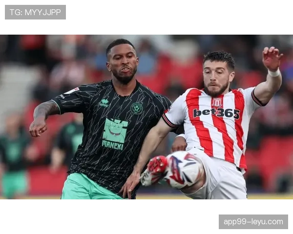 斯托克城成功保级，稳步提升英超竞争力